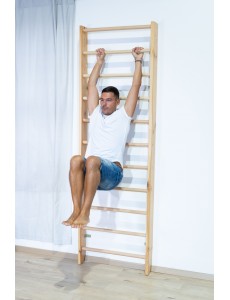  Hauteur: Hauteur 240 cm