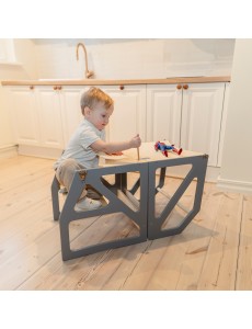  Model: ModustepCouleur: Gris